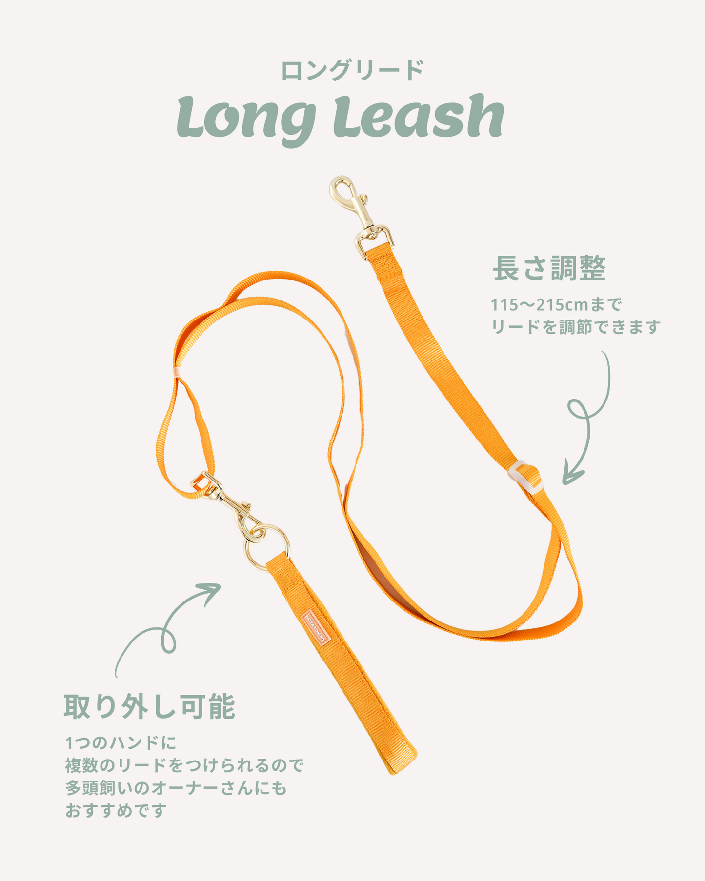 Harness / Green & Yellow