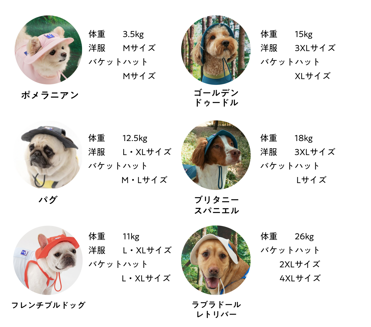 サマーロンパース