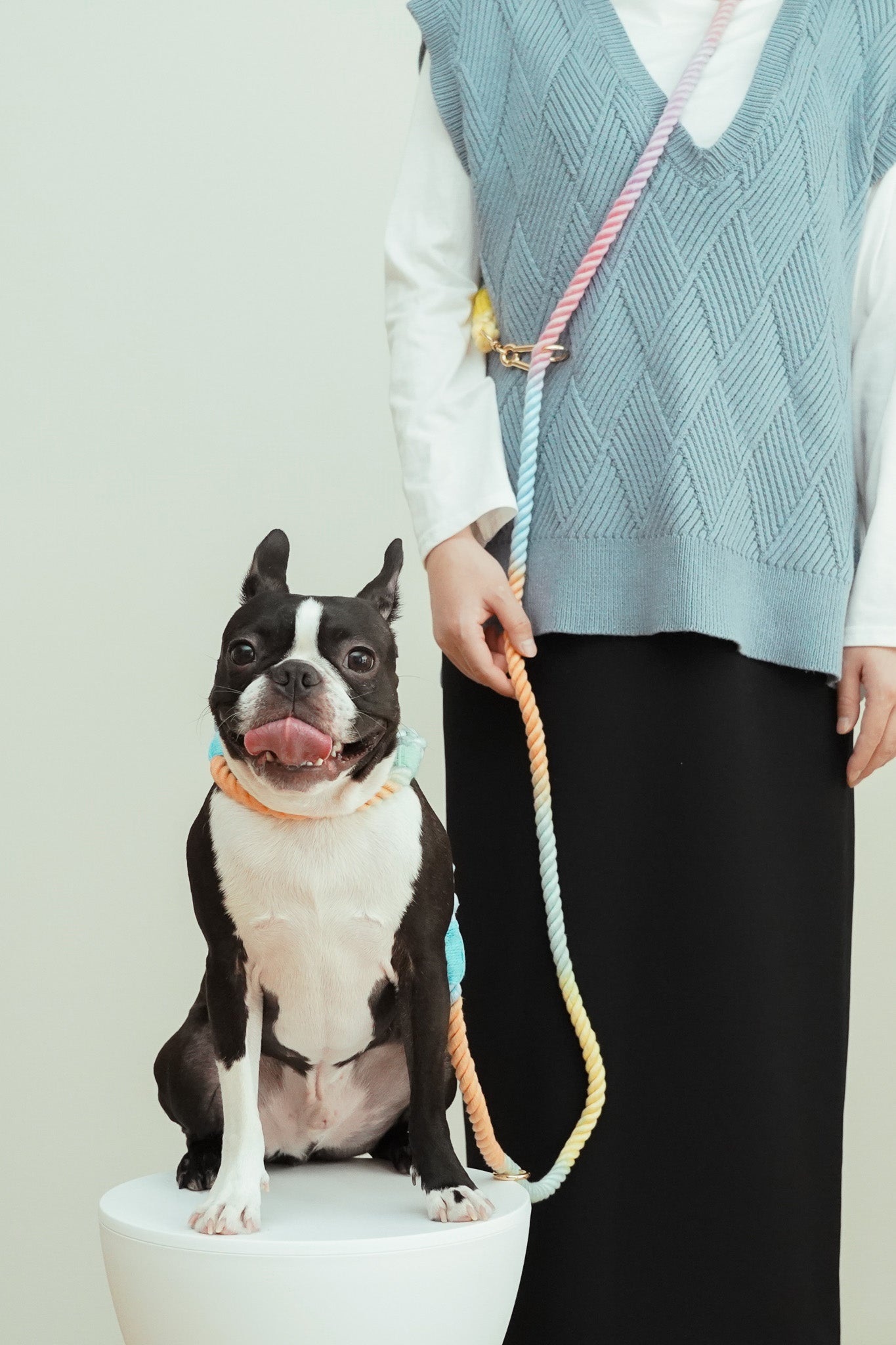 Rainbow collar & Rope (レインボーの首輪&コットンロープ)