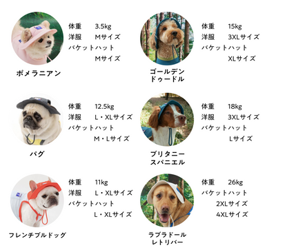 サマーロンパース