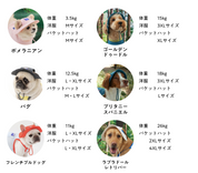 サマーバケットハット