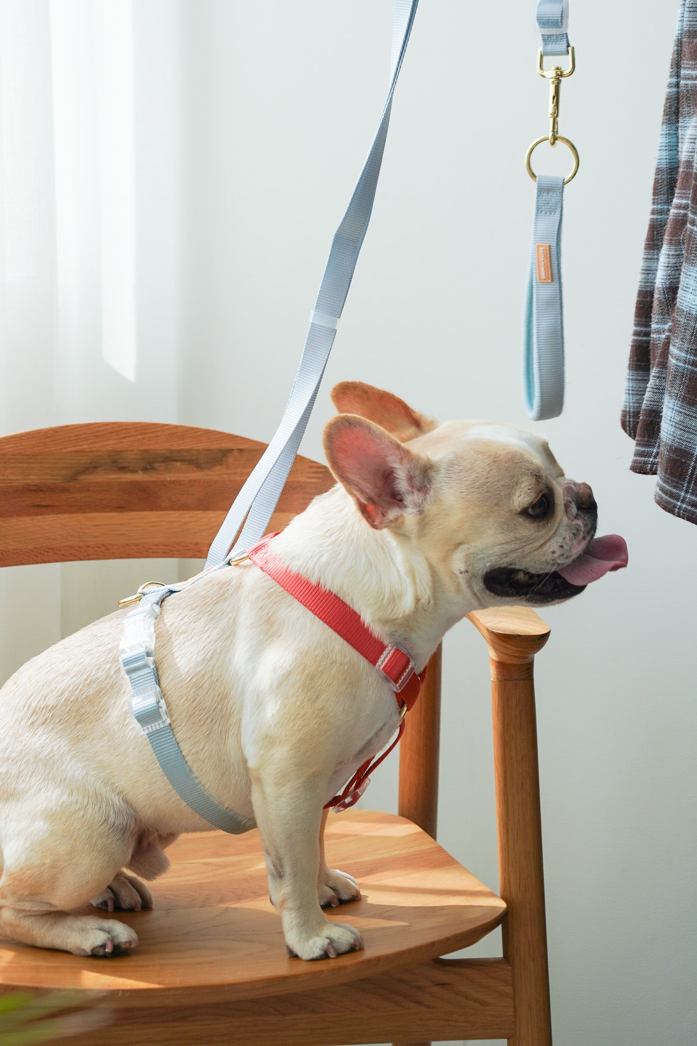 Harness / Marine ( Red & Blue )