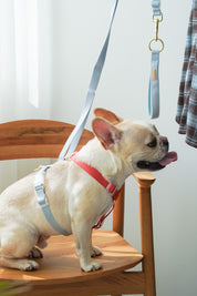 Harness / Marine ( Red & Blue )