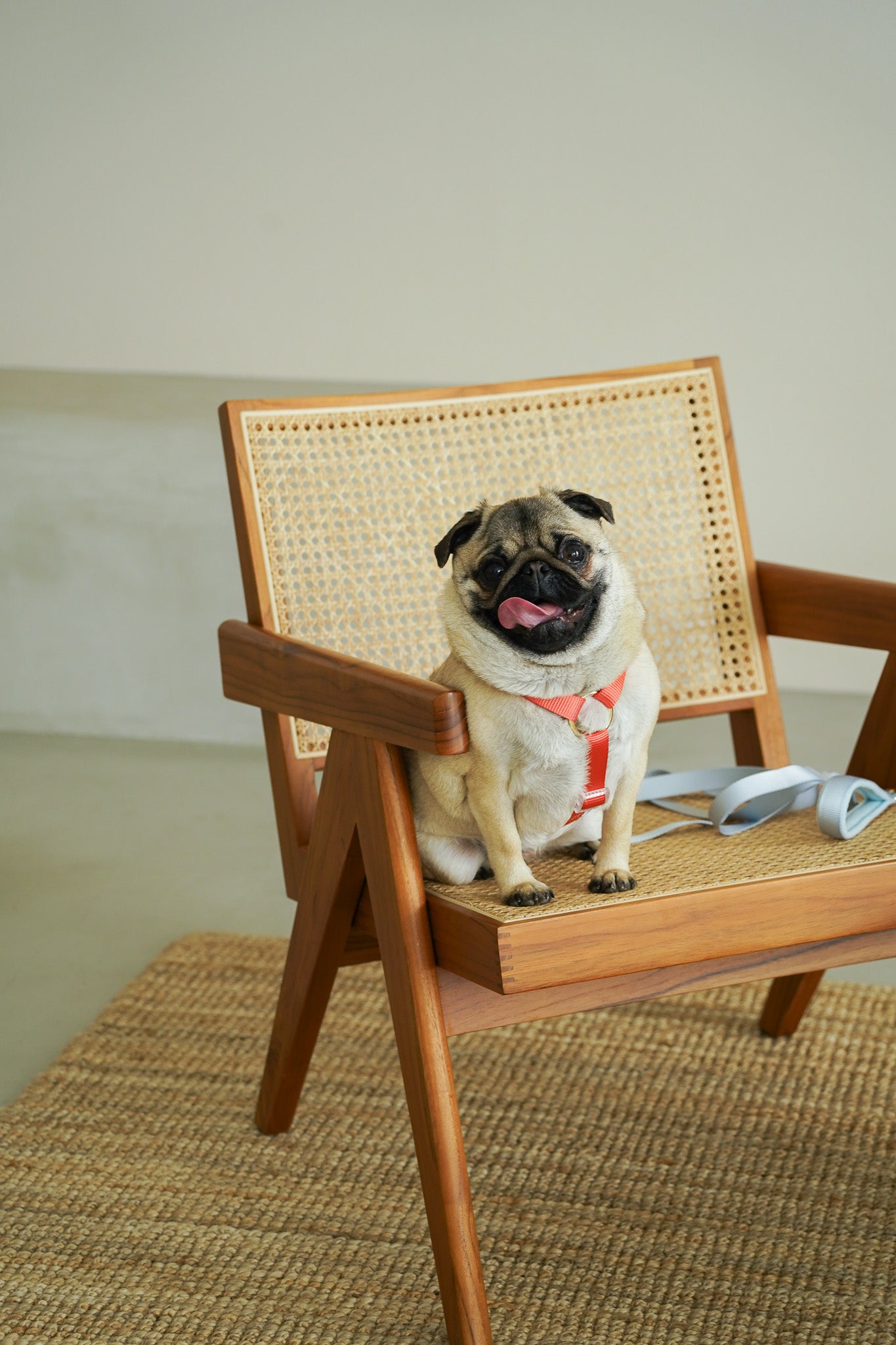 Harness / Marine ( Red & Blue )