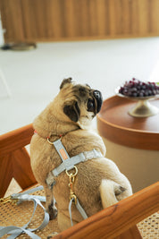 Harness / Marine ( Red & Blue )