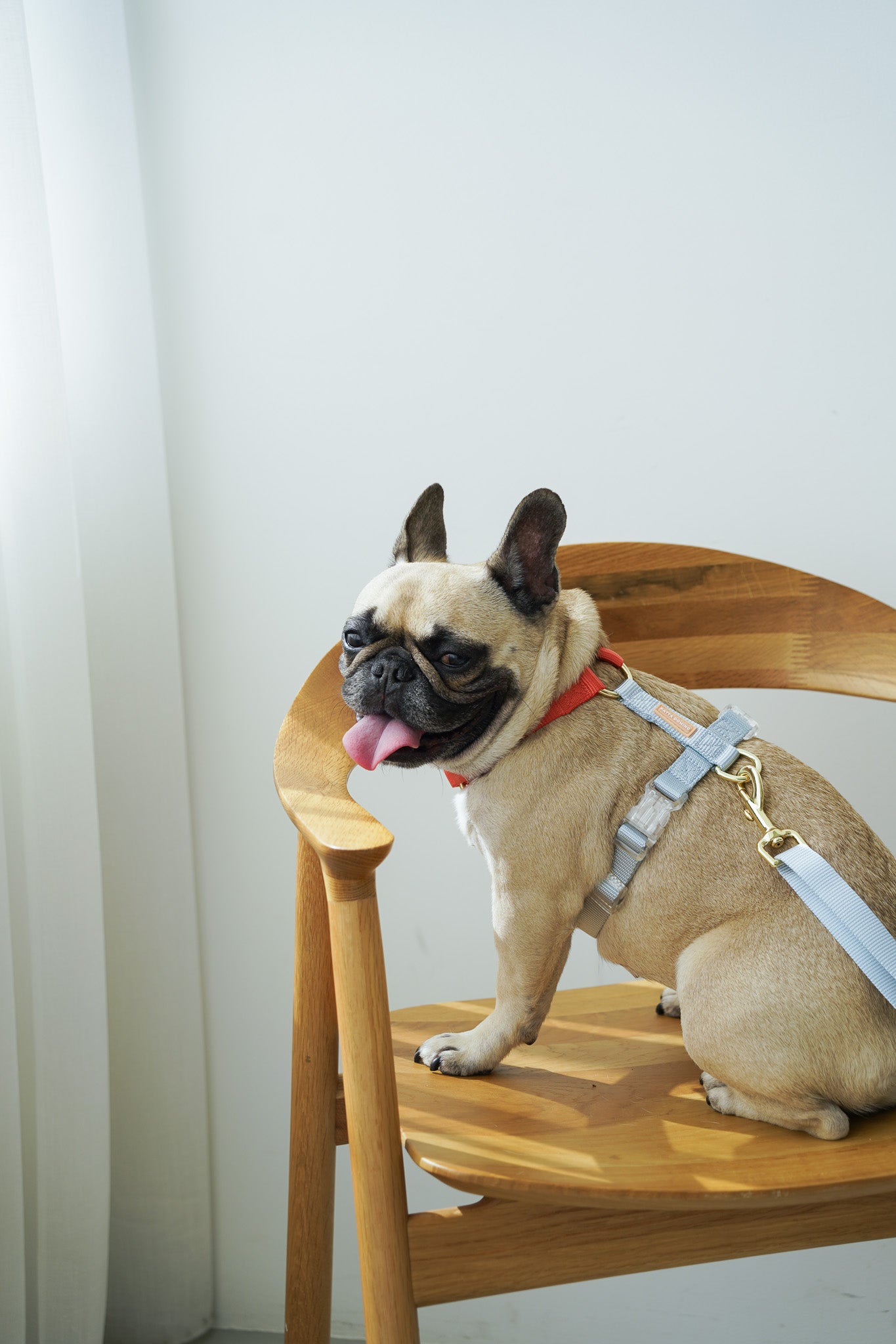 Harness / Marine ( Red & Blue )