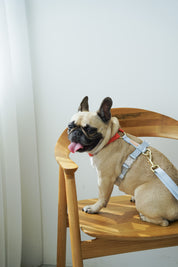 Harness / Marine ( Red & Blue )