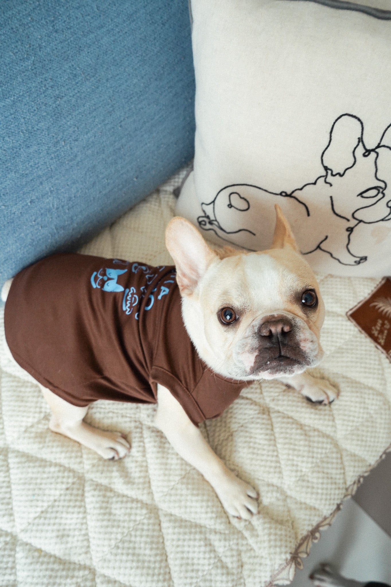 コットンタンクトップ#PATTA DOMINO FRIENDS