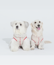 トラッキング フリース トップ