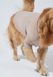 [予約販売] DAZE FRILL TOP / Cocoa