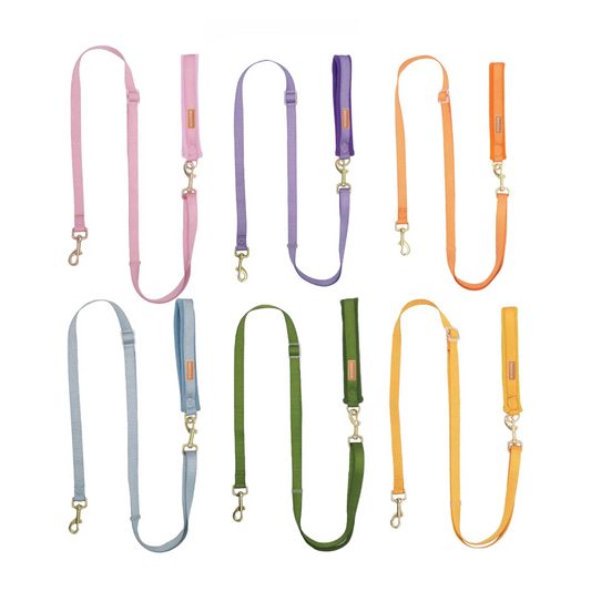 Dog Leash | リード