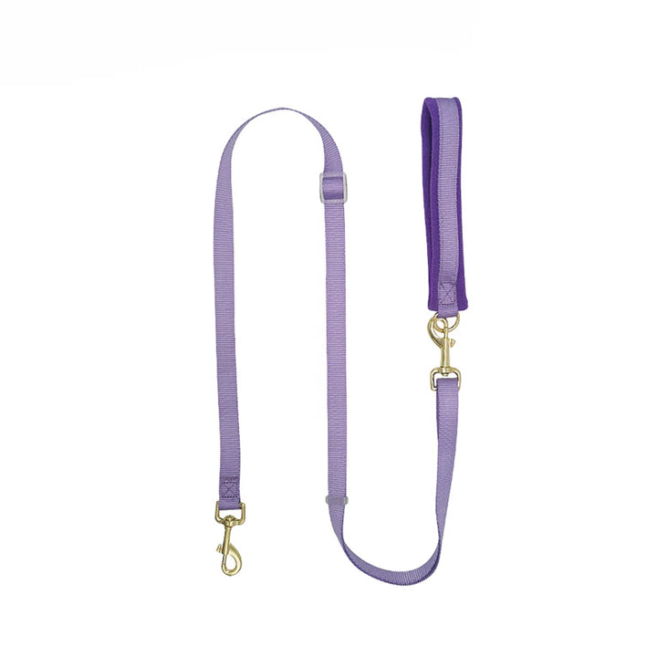 Dog Leash | リード