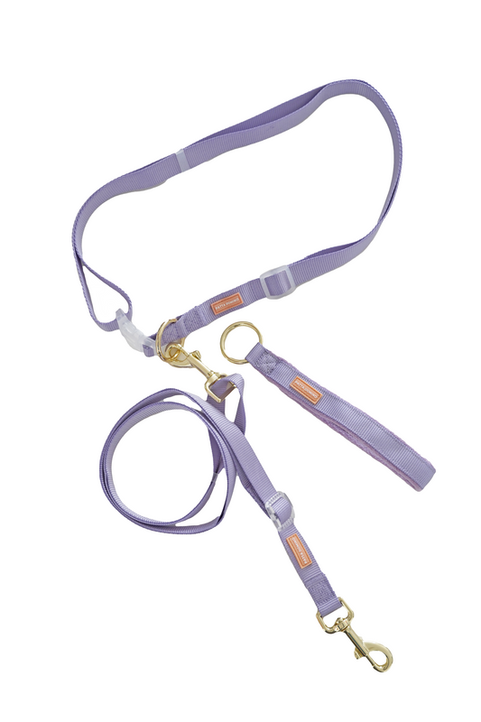 Shoulder Leash Set / Purple