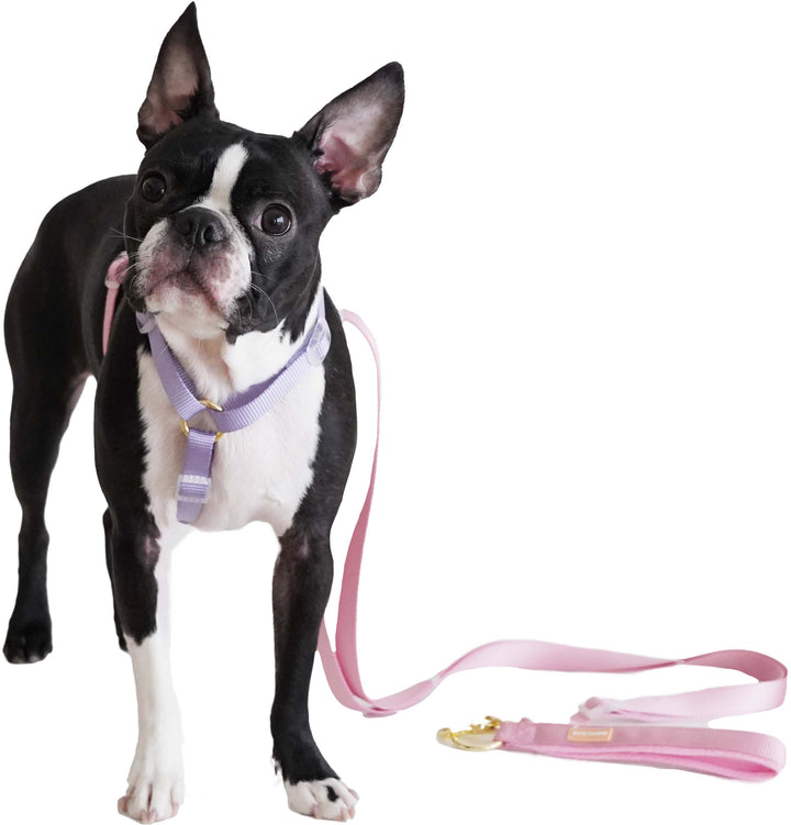 Dog Leash / Pink