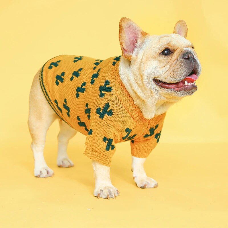 Petcircle_jpg_Q90_jpg.jpg