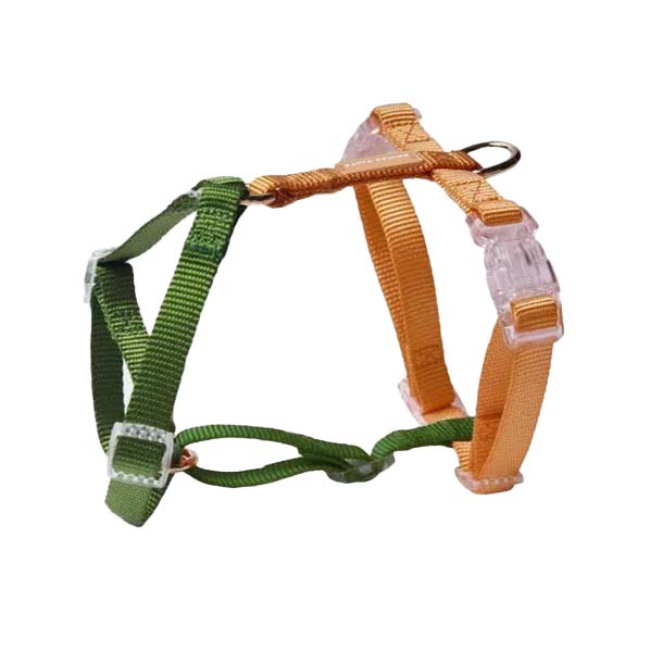 Harness / Green & Yellow