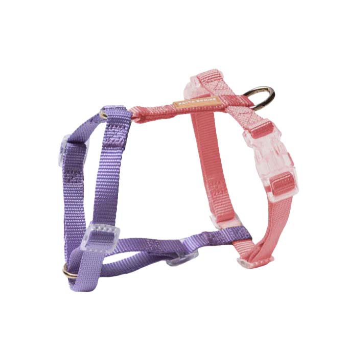 Harness / Purple & Pink