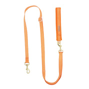 Dog Leash | リード