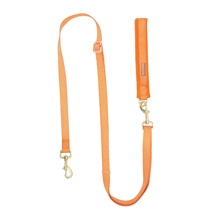 Dog Leash / Orange