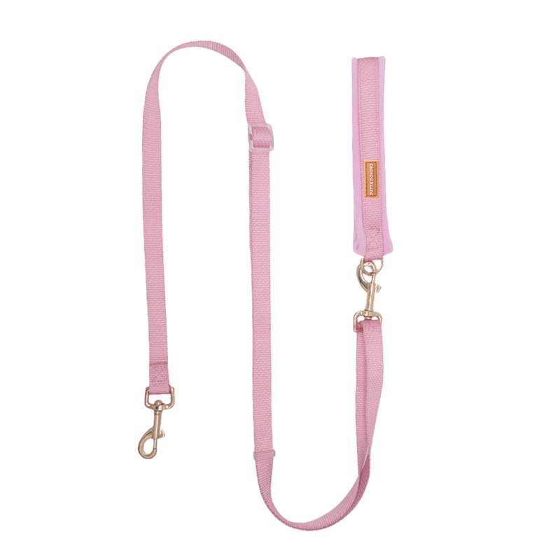 Dog Leash / Pink