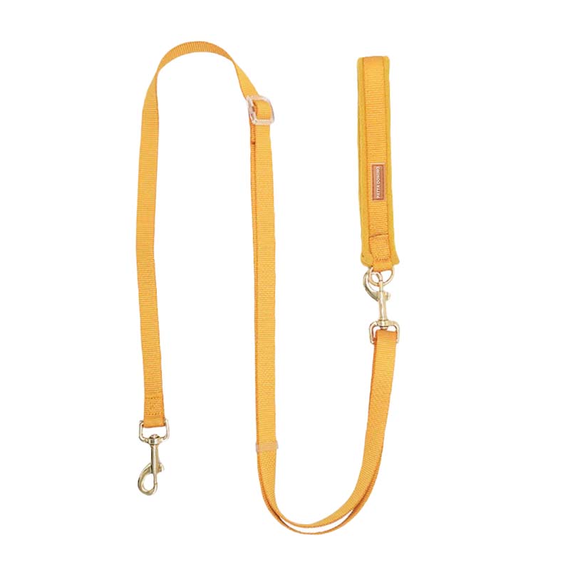Dog Leash / Yellow