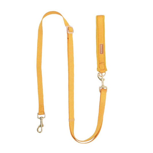 Dog Leash / Yellow